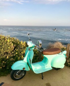 High-Performance Mopeds